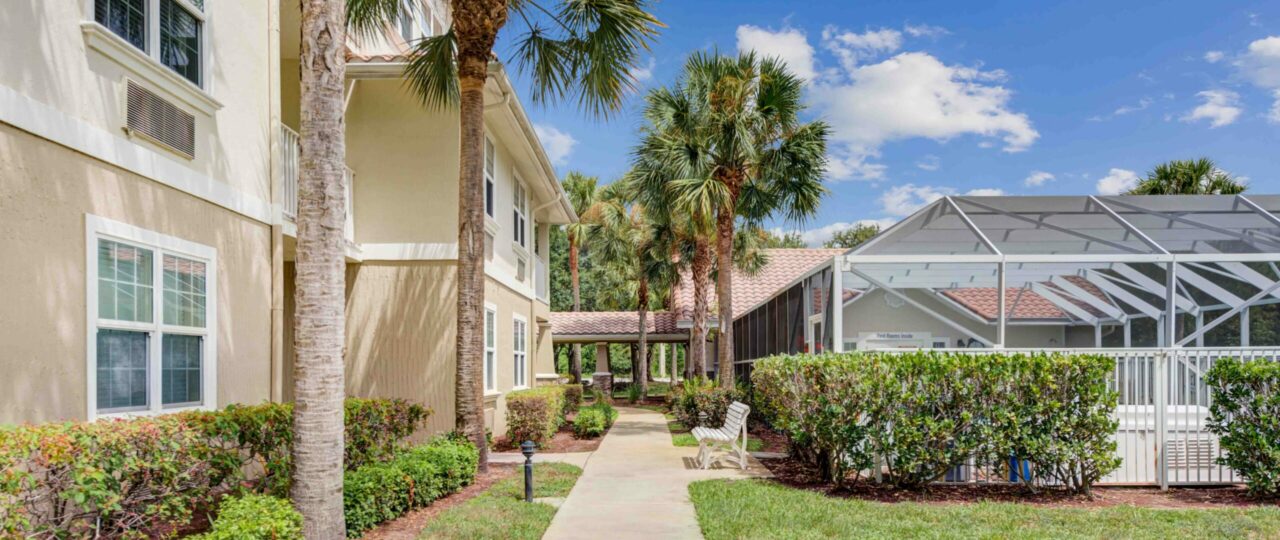 Windward Palms